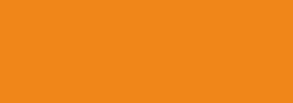 W-304 Orange